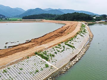 安慶菜子湖國家濕地公園生態(tài)護堤